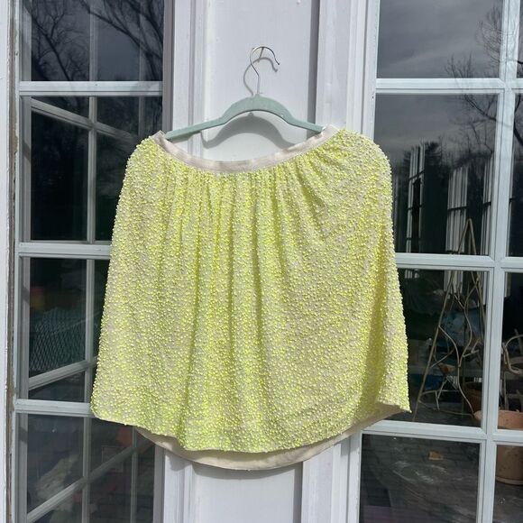 J Crew Collection Citron Sequin Silk Skirt NWT - Picture 3 of 7